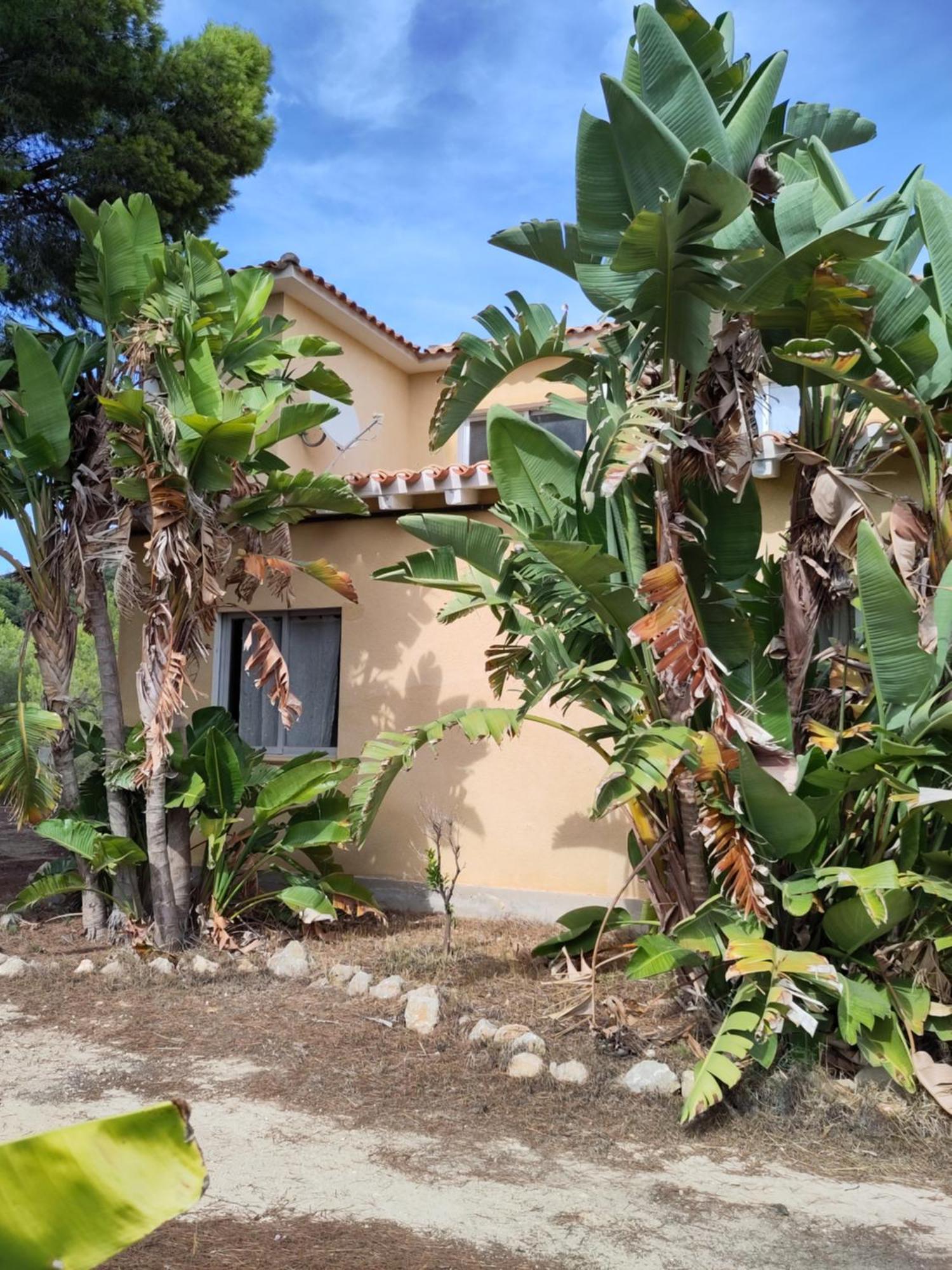 Finca Caracol Bolulla Екстериор снимка